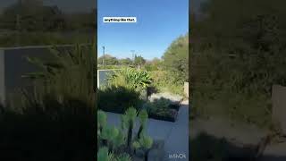 Download lagu Secret Garden at Biola University 😳 mp3