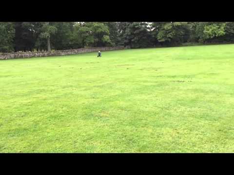 Oset 12.5 3 years old full speed