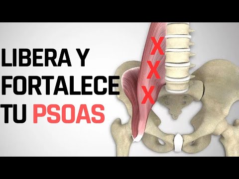 Libera Y Fortalece Tu Psoas