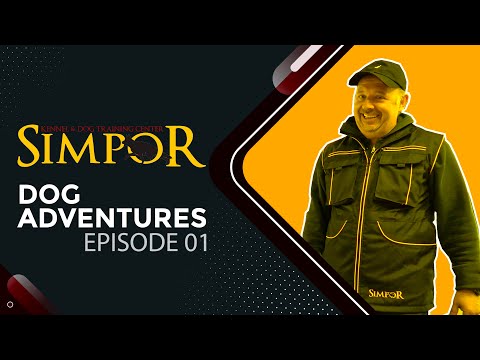 Simpor Dog Center — Full Video