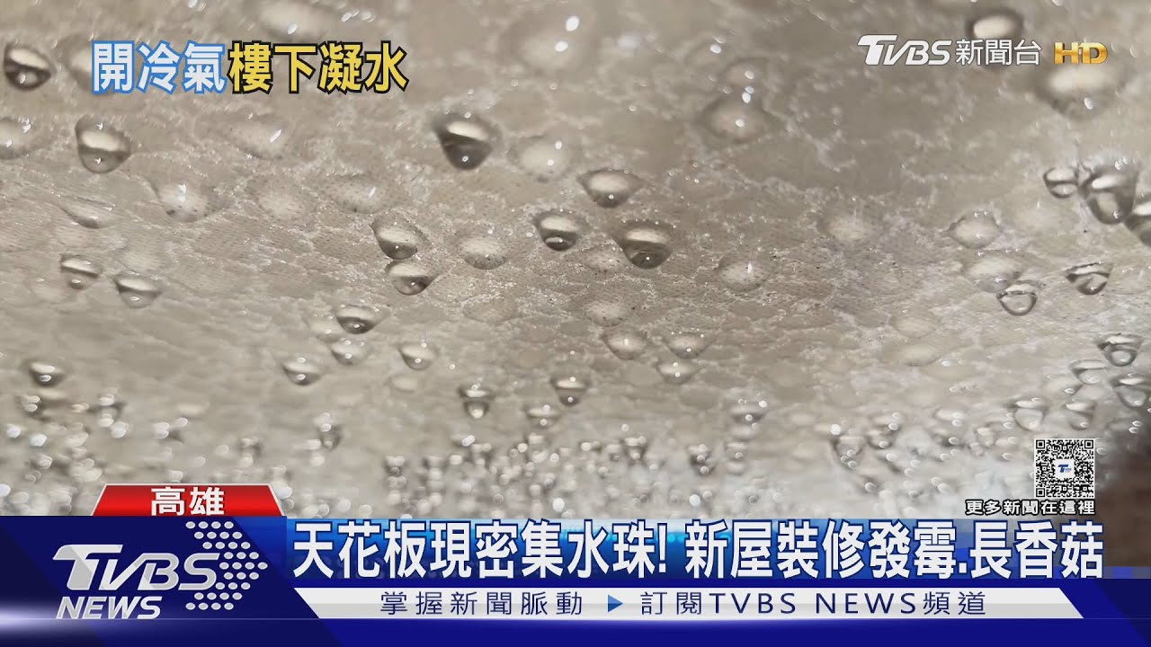 密集恐懼症慎入! 水泥天花板布滿水珠 新屋裝修停擺