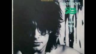The Waterboys - All the Things She Gave Me