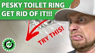 Toilet Ring? TRY THIS! Get RID of that pesky toilet ring!