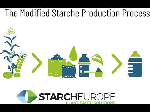 The Modified Starche Production Process