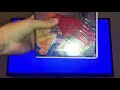 Opening To Sleeping Beauty 1986 VHS French Canadian Copy