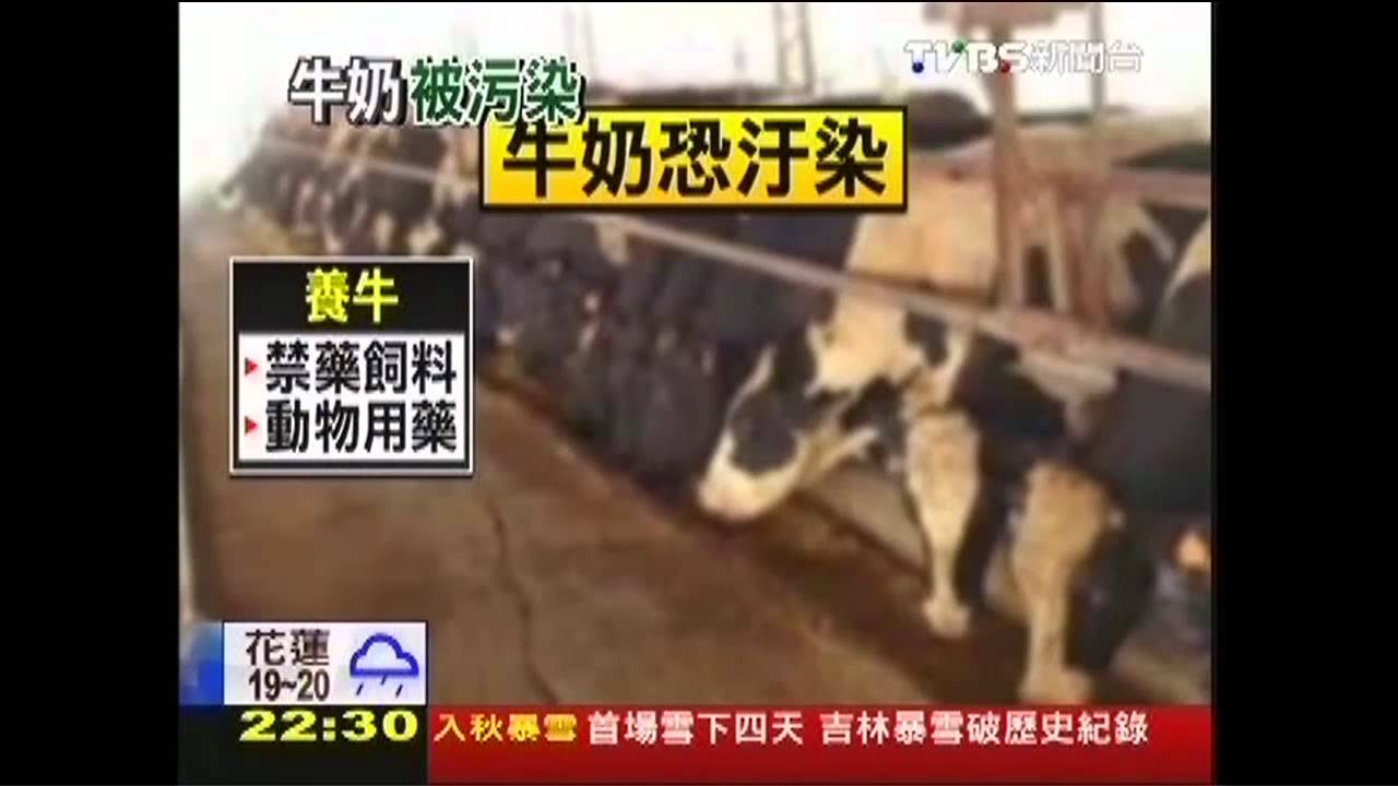 鮮乳安全嗎？　飼養過程恐殘留禁藥
