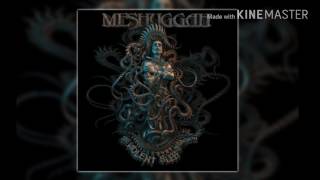 Meshuggah - Our Rage Won't Die