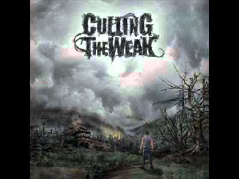 Culling The Weak - Remember Us