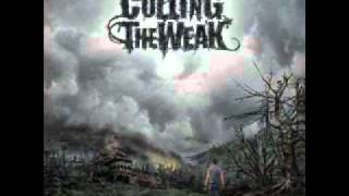 Culling The Weak - Remember Us