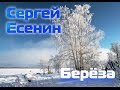 Сергей Есенин - Береза 