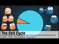 The Cell Cycle (and cancer) [Updated]