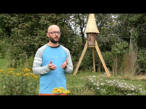 Skötselfri bihållning med stockkupor