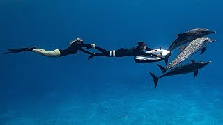 CAN YOU SEABOB WITH DOLPHINS?? Free Diving the Deep Blue Sea!!