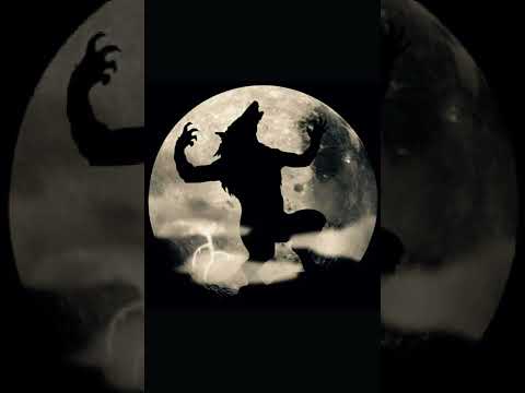 Svunna Tider - Vit Legion