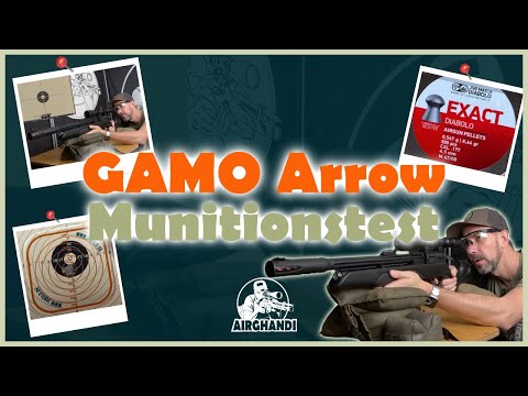 Gamo Arrow - Der große Munitionstest
