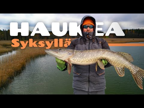 Syyshauen kalastusta [ Hauenkalastusta merellä lokakuussa ]