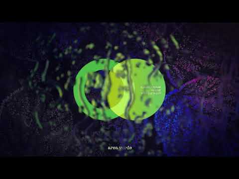 Sundrej Zohar - In Love with the Night (Original Mix) // Area Verde