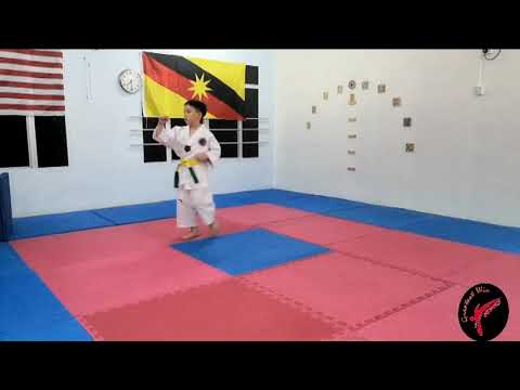 WT337 LUCAS LING WEE HONG