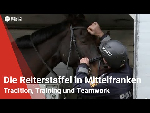 Die Polizei-Reiterstaffel Mittelfranken: Tradition, Training und Teamwork
