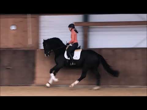 Splotch BD - Februar 2022