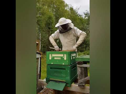 Förberedande inför slutskattning 2020