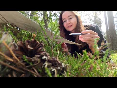 Iris Hill - My Wildflower Journey