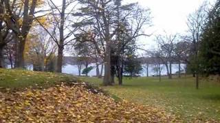 preview picture of video 'Cedar Point Park Turkeys Williams Bay WI'
