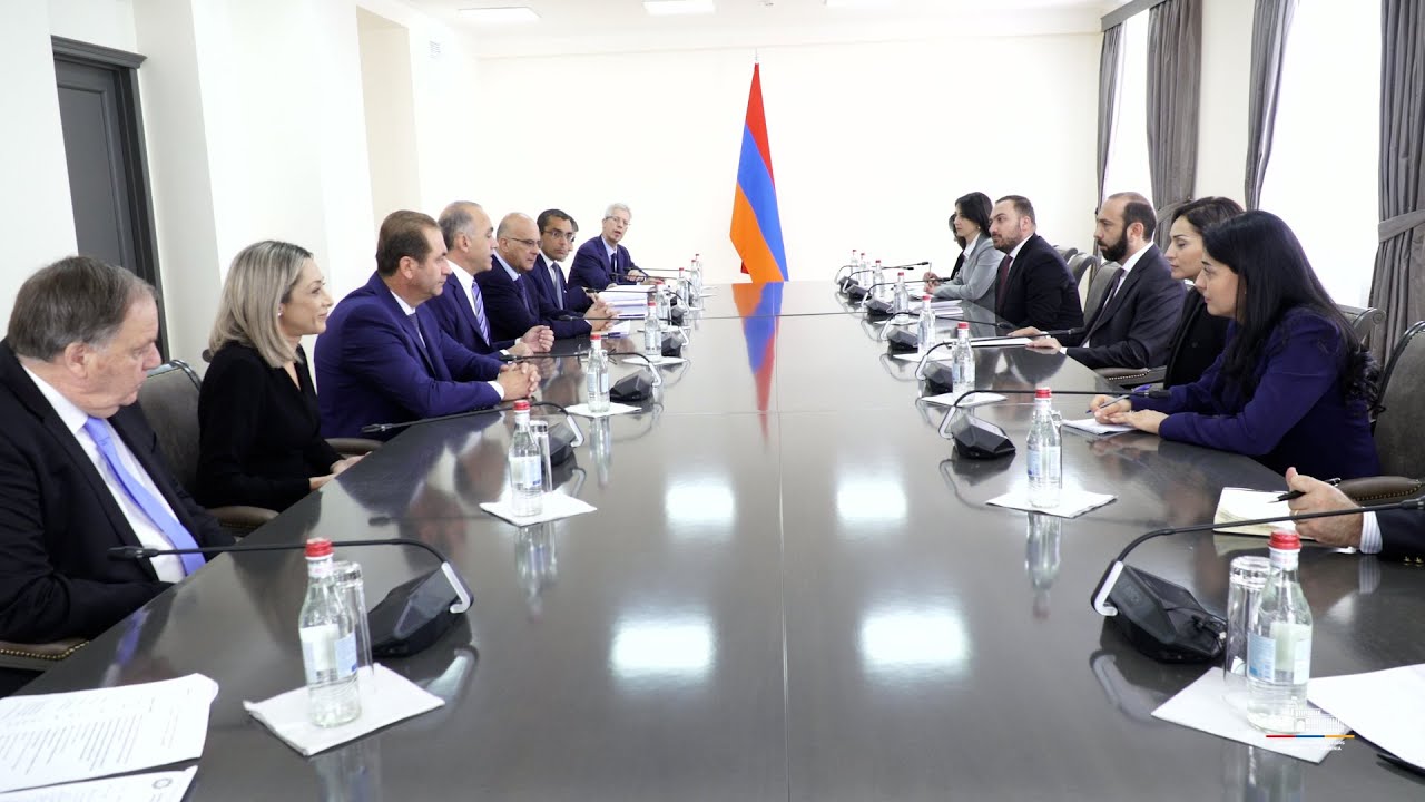 Meeting of Minister of Foreign Affairs of Armenia with delegation of House of Representatives of Cyprus