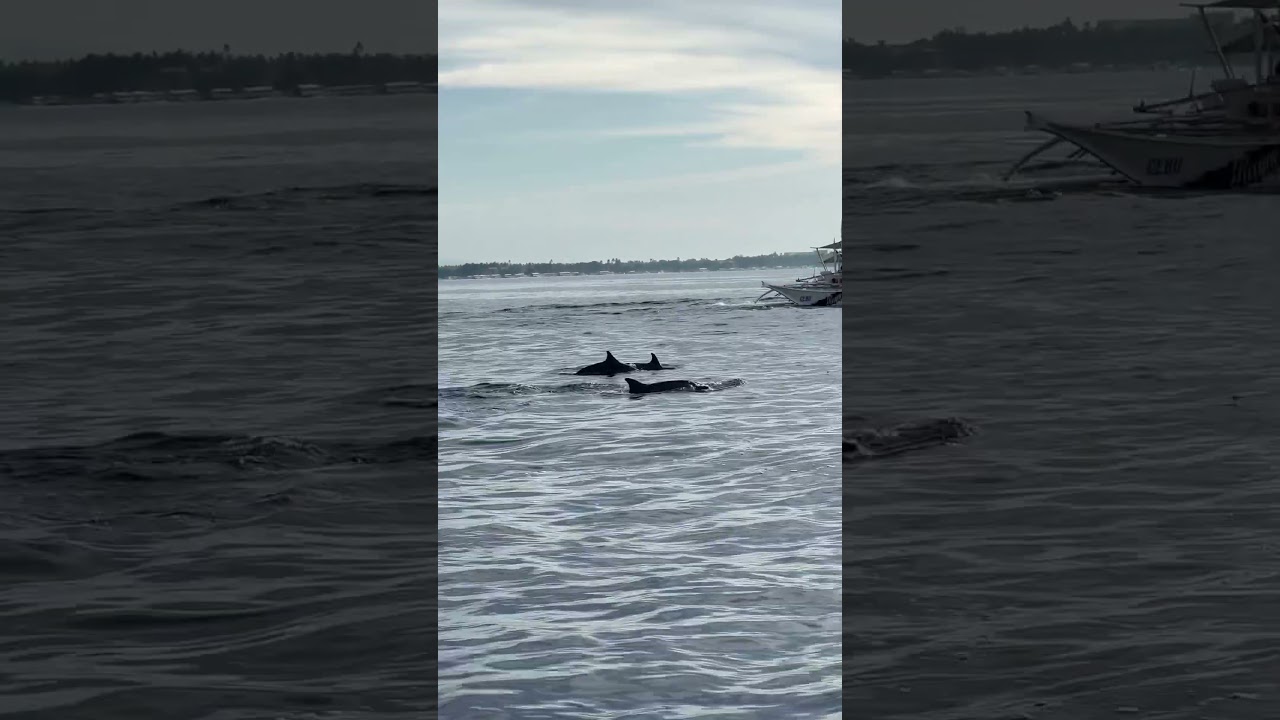 YouTube Short thumbnail