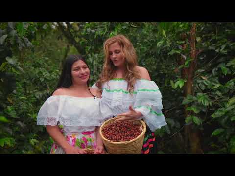 Las Caficultoras del Tambo Cauca Trabajan Por Su Futuro!