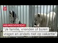Dierenpensions zitten nu al vol voor de zomer  en zorg om wegen Oosterwold | Dit is Flevoland