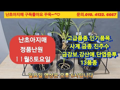 유튜브 썸네일