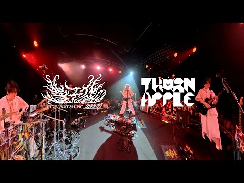 쏜애플(THORNAPPLE) - 물가의 라이온 / 백치 '불구경' 2025 Live 360˚ver.