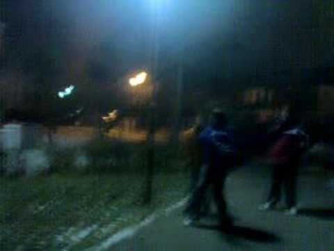 Brinsek the karate master