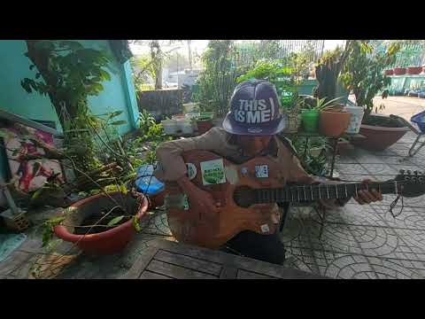 NHỮNG ĐỒI HOA SIM - TRẦN NÊN CA CỔ - HẬU GIANG