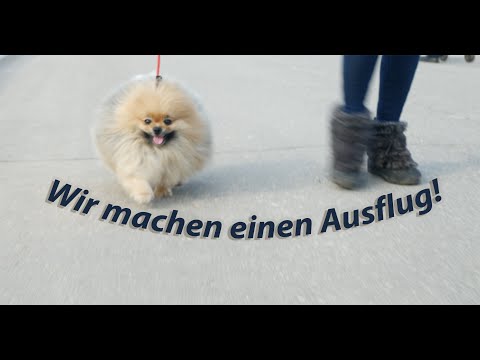 Wir machen einen Ausflug!