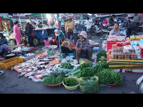 Early Daily Lifestyle of Vendors @Chhbar Ampov - Plenty Fresh Fruit, Vegetable, Fish & More Food