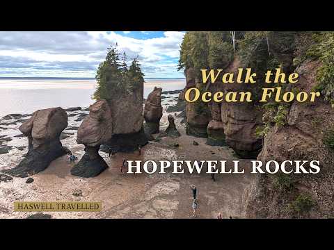 Hopewell Tide Chart