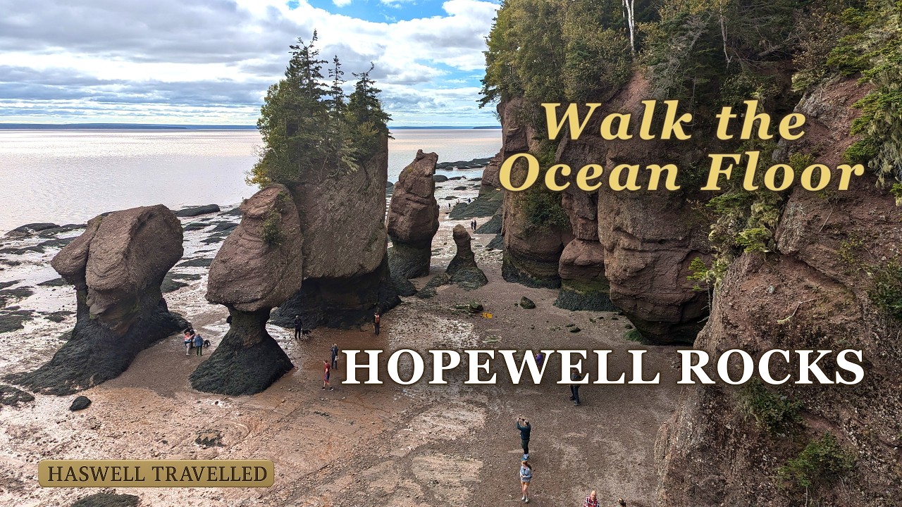 Hopewell Rocks & Bay of Fundy tides