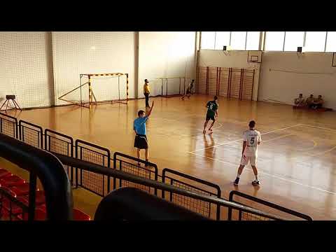 Bozidar Simic Highlights 2018/19