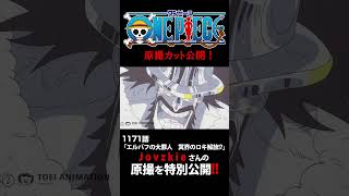 アニメ「#ONEPIECE」見放題配信への追加は木曜日‼️1171話‼️ #onepiece #原撮
