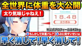 新システムで3D配信をするすいちゃん、太り気味と言われ自ら体重を開示する【ホロライブ/星街すいせい/切り抜き】