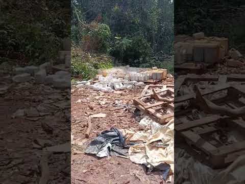 venenos vencido na fazenda grupo ABC chapada 2 sapezal mato grosso acabando com a natureza #ibama