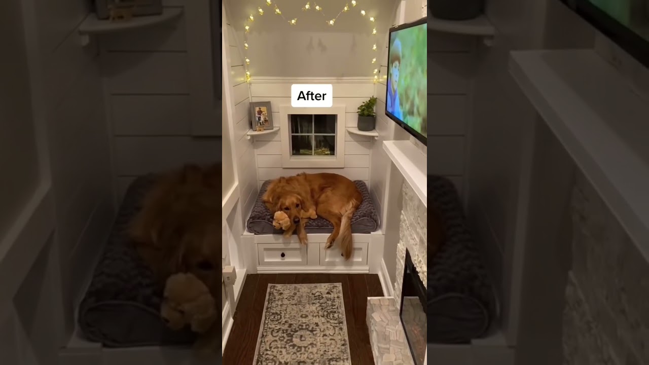 Interior doghouse in old closet! Teddys home. #dog #goldenretriever