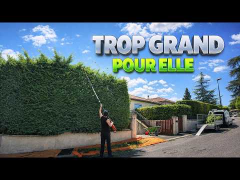 La propriétaire n'arrivait plus à entretenir son énorme jardin, rabattage d'une haie immense