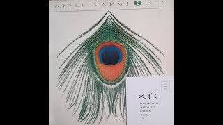XTC-Fruit Nut- Apple Venus Volume 1