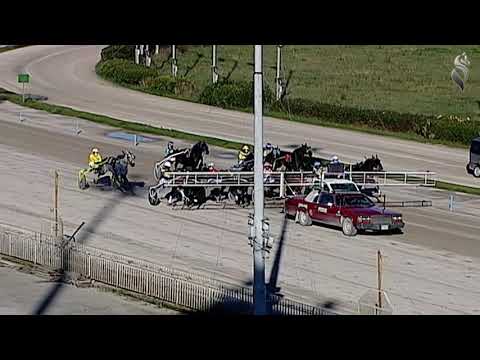 Aversa trotto 16 Gennaio 2021 - 2° Corsa