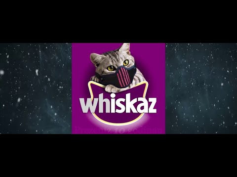 Iskaz - Osveta Roze Tuljana