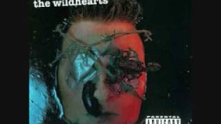 The Wildhearts - TV Tan