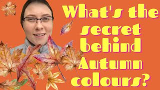 Lockdown Walks - What&#39;s the secret behind Autumn colours?